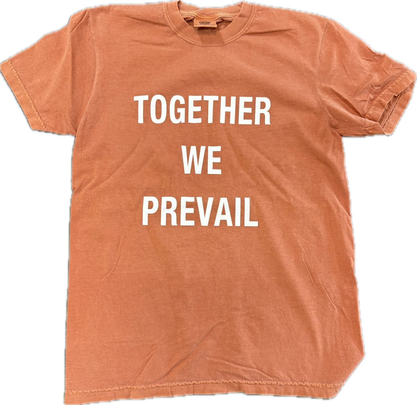 Together We Prevail T-Shirt | Yam