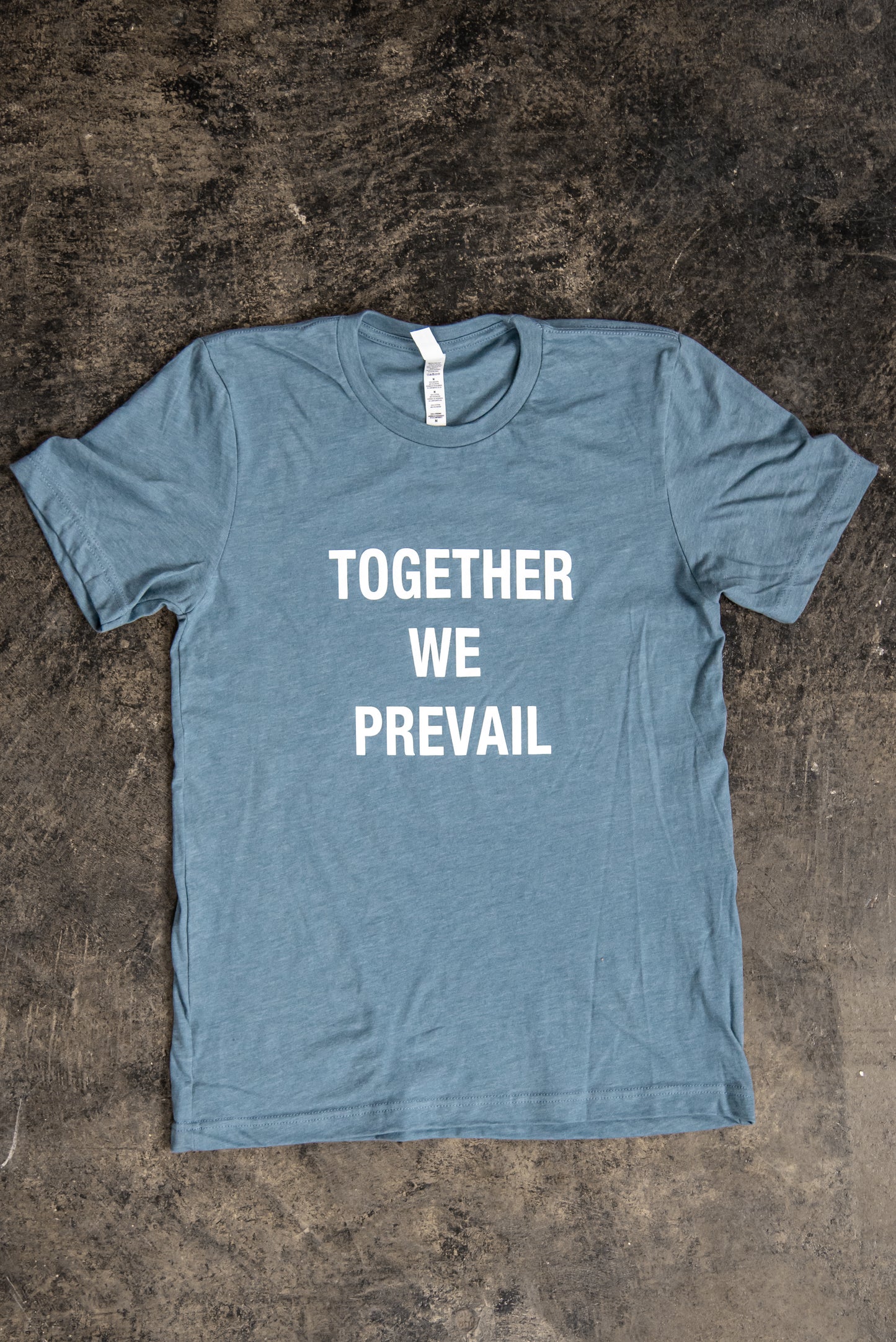Together We Prevail T-Shirt | Heather Blue