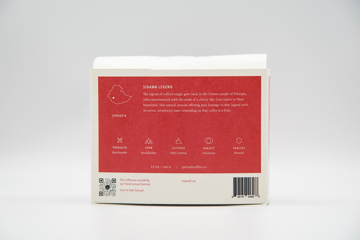 Prevail Coffee - specialty coffee roastery | TheBeanGeek - Prevail Coffee Beans