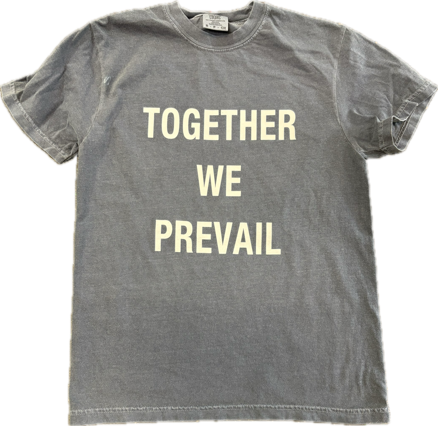 Together We Prevail T-Shirt | Denim