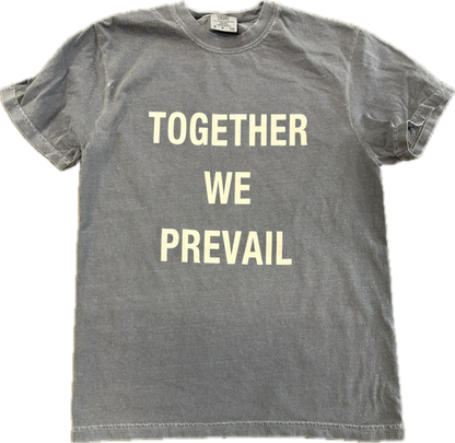 Together We Prevail T-Shirt | Denim